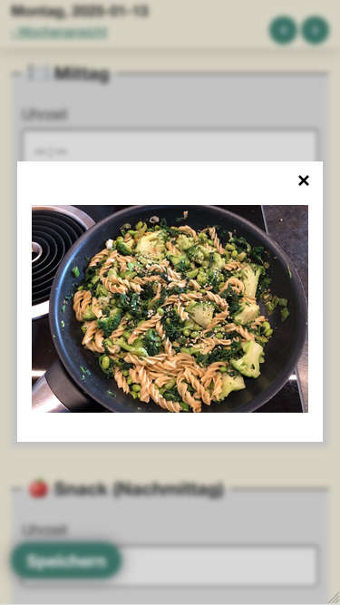 Screenshot von Nutrition Logs der das vergrößerte Foto zeigt wenn man die Miniaturansicht des Fotos öffnet. Das Foto überlagert das Eingabeformular. Der Hintergrund ist Weichgezeichnet.